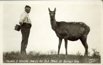 Warden D. Davison and his pet elk Maud at Buffalo Park. [Wainwright: Photo Carsell, Wainwright, Alberta, 1920]. Courtesy of Peel's Prairie Provinces.